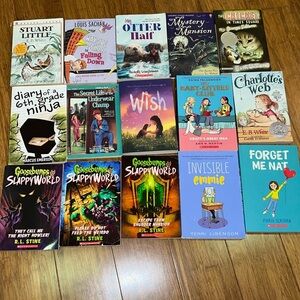 Bundle of 15 kids chapter books various brands and authors some new!